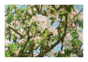 Ralph-J. Petschat Blüten Acryl, Pigmente, Papier auf Leinwand 100 x 150 cm Unikat