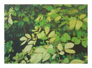 Ralph-J. Petschat Buschwerk Acryl, Papier auf Leinwand 100 x 140 cm Unikat