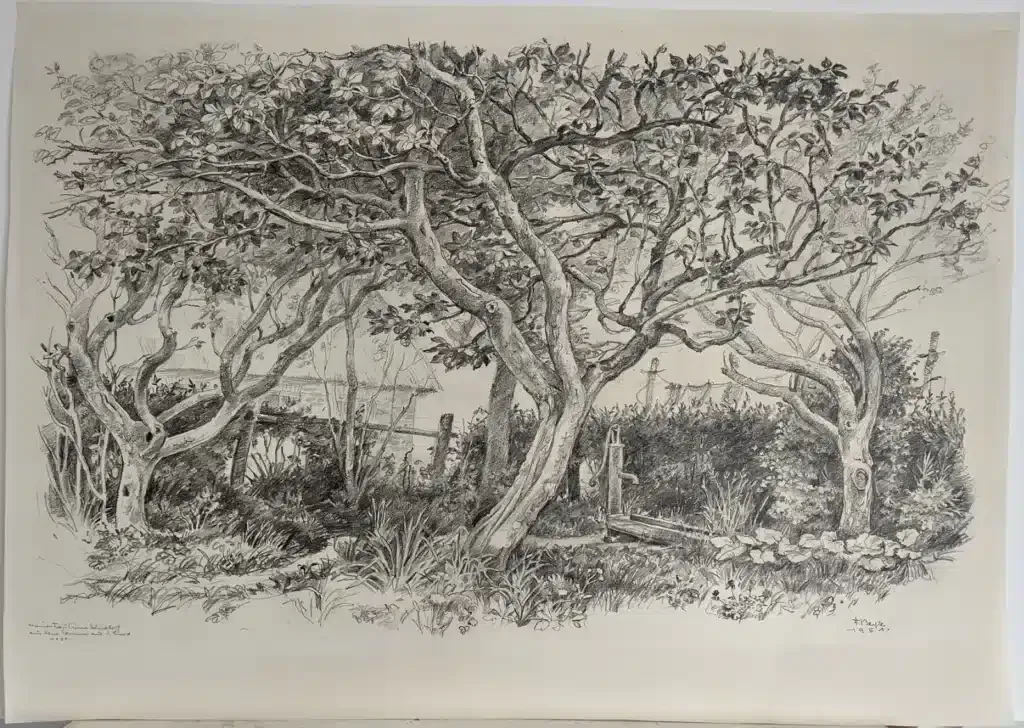 Bleistiftzeichnung nach der Restaurierung