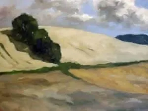 Andreas Decke Helles Feld