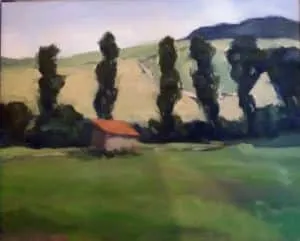 Andreas Decke Sommerpappeln