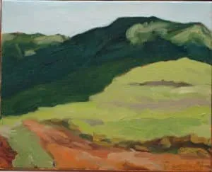 Andreas Decke Waldschatten