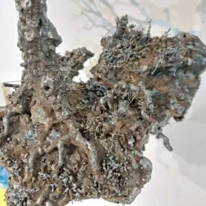 Mirsad Herenda Wandobjekt Baum aus Eisen 53 x 41 x 38 cm