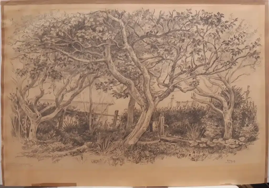 Übersäuerte Bleistiftzeichnung