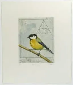 Wolfgang Zelmer Parus Major, Kohlmeise Farbradierung Auflage 95 Exemplare + e.a. 44,5 x 38 cm
