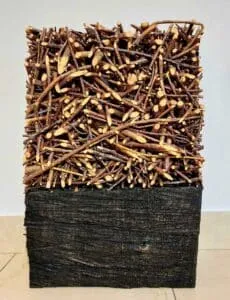 Norbert Klaus LIED-O188-14 Wandobjekt Reisig, Holz 41 x 30 x 80 cm Unikat